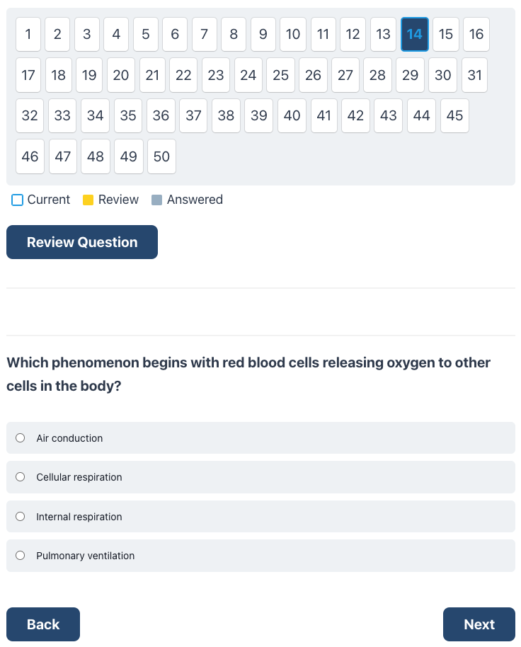 Practice Test Screen Shot